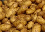 Задържаха 20 тона заразени картофи на границата с Турция