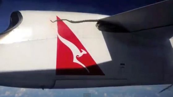 Змия на самолет. Снимка кадър от youtube