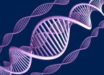 Британски учени съхраниха дигитална информация в ДНК