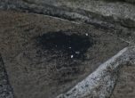 Странни мушички тормозят казанлъшко село (снимки)
