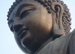 "Биволъ" с петиция до Европарламента за изслушване по казуса "Буда"