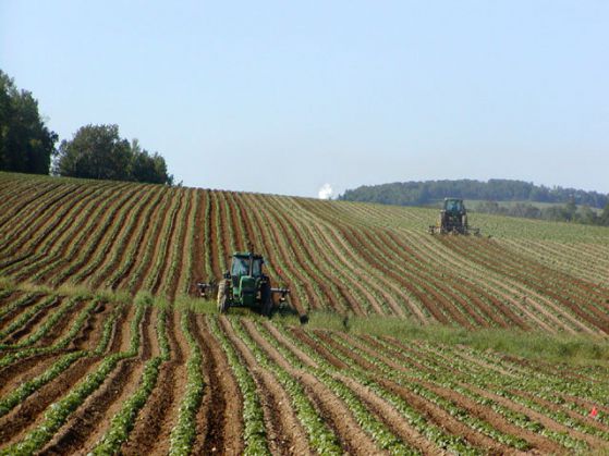 15% от европарите за селско стопанство пренасочени към други ключови сектори. Снимка: Уикипедия