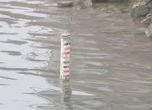 Сърбия евакуира райони около Дунав заради наводненията