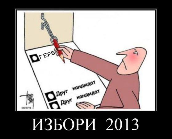 Избори 2013