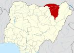 Поне 29 ученици убити в училище в Нигерия