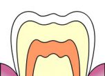 Учени откриха как да правят зъби от... урина