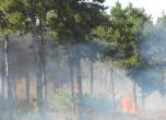 Пожар гори във Варненско