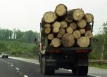 БСП ще променя правилата за сеч в горите