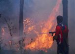 Над 200 пожара са потушени за денонощие