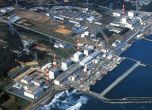 Радиацията във "Фукушима" осем пъти над допустимото