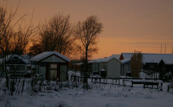 Рекордните -41.2 °C вледениха Северна Швеция. Снимка: sxc.hu