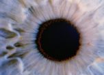 Очни клетки от починали връщат зрението на слепи хора