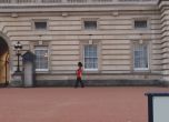 Гард на Елизабет II танцува пред Бъкингамския дворец (видео) 