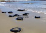 Морето засипа плаж във Варна с автомобилни гуми