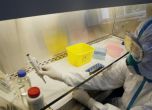 Жена и новородено със съмнения за ебола в Белгия