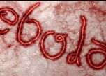 Какво ще ви се случи, ако се разболеете от ебола
