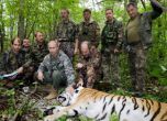Китай се видя в чудо от тигъра на Путин, яде им козите