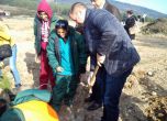 Засаждат 4 хил. кедъра на мястото на незаконните ромски къщи в Стара Загора