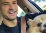 Гришо се забавлява с кучето на Шарапова