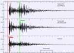 Силни земетресения край Аляска и Индонезия