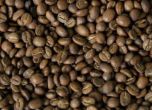 Бразилски учени откриват в кафето протеин с морфинов ефект