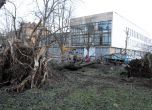 Вършец обяви бедствено положение, бурята отнесе Северозападна България (обновена)