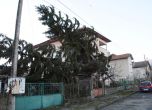 Бурята срути къща в с. Дрангово, десетки селища в кърджалийско без ток 