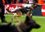 Полицейско куче захапа играч по време на мач в Бразилия 