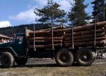 Износители на дървесина излизат на протест 