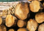 Износители на дървесина блокираха "Капитан Петко Войвода"