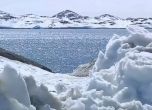 Топенето на антарктическите ледове се ускорява