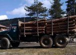 Износителите на дървесина отново излизат на протест
