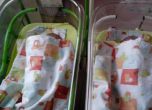 Близнаци се родиха в OFFNews