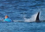 Сърфист прогони акула с юмруци (видео)