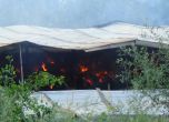 Два коня и 10 000 бали слама изгоряха при пожар в Благоевград