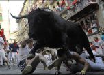 Седем убити от бикове на летните фестивали в Испания (видео)