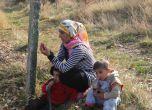 Над 290 нелегални имигранти са задържани близо до турско-българската граница