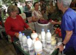 БАБХ гони продавачите на домашно мляко от улиците