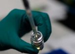 32-ма са дали положителна проба за бруцелоза в Кюстендилско