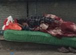 Здравното министерство разпореди проверка по случая с бежанеца бездомник