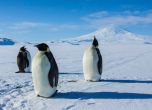Конкурс за творба, посветена на опазването на Антарктида