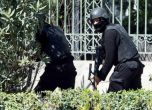 Властите в Тунис предотвратиха атентат