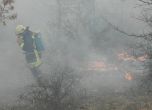 500 декара гора горяха край Ловеч