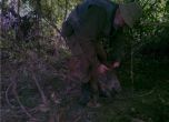 Бургаски полицай бракониерства с примки