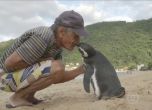 Всяка година пингвин изминава 8000 км, за да види спасителя си