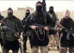 Трима от нападателите от Батаклан фигурират в изтекли документи на ИДИЛ