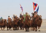 Офроуд с 1115 камили в Монголия влиза в Гинес