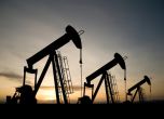Петролът надмина 42 долара за барел месец преди срещата на износителите