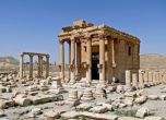 Откриха масов гроб с 42 тела в Палмира