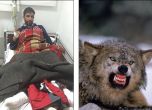 Британец по чудо оцеля в Банско след инцидент и бягство от вълци
